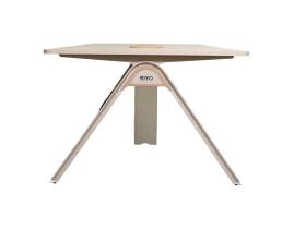 Masa Conferinta FRANKFURT-thumb-6