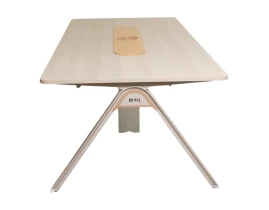 Masa Conferinta FRANKFURT-thumb-5