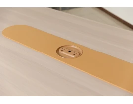 Masa Conferinta FRANKFURT-thumb-3