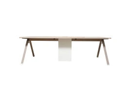 Masa Conferinta FRANKFURT-thumb-2