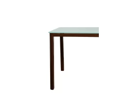 Masa C295 Glass Top 8 mm 120 x 70 x 75 cm-thumb-4